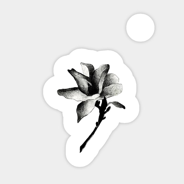 Magnolia Sticker by claudiala